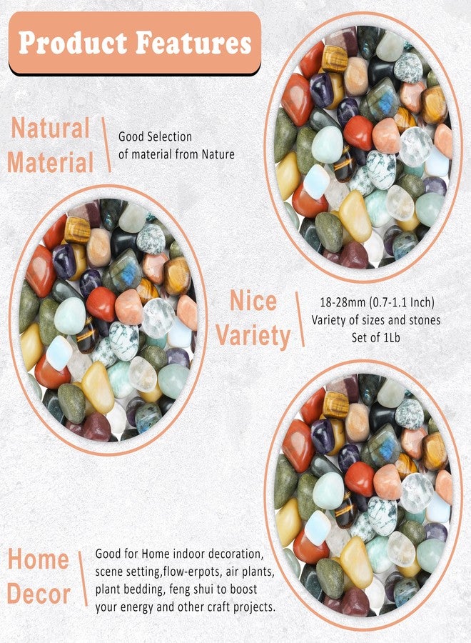 ZAICUS Mixed Polished Crystal Stones for Decor Styling & Creative Displays (250g) - Image 2